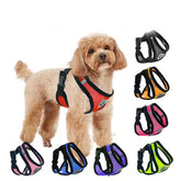 Outdoor Anti-Pull Harness & Leash Set for Pets