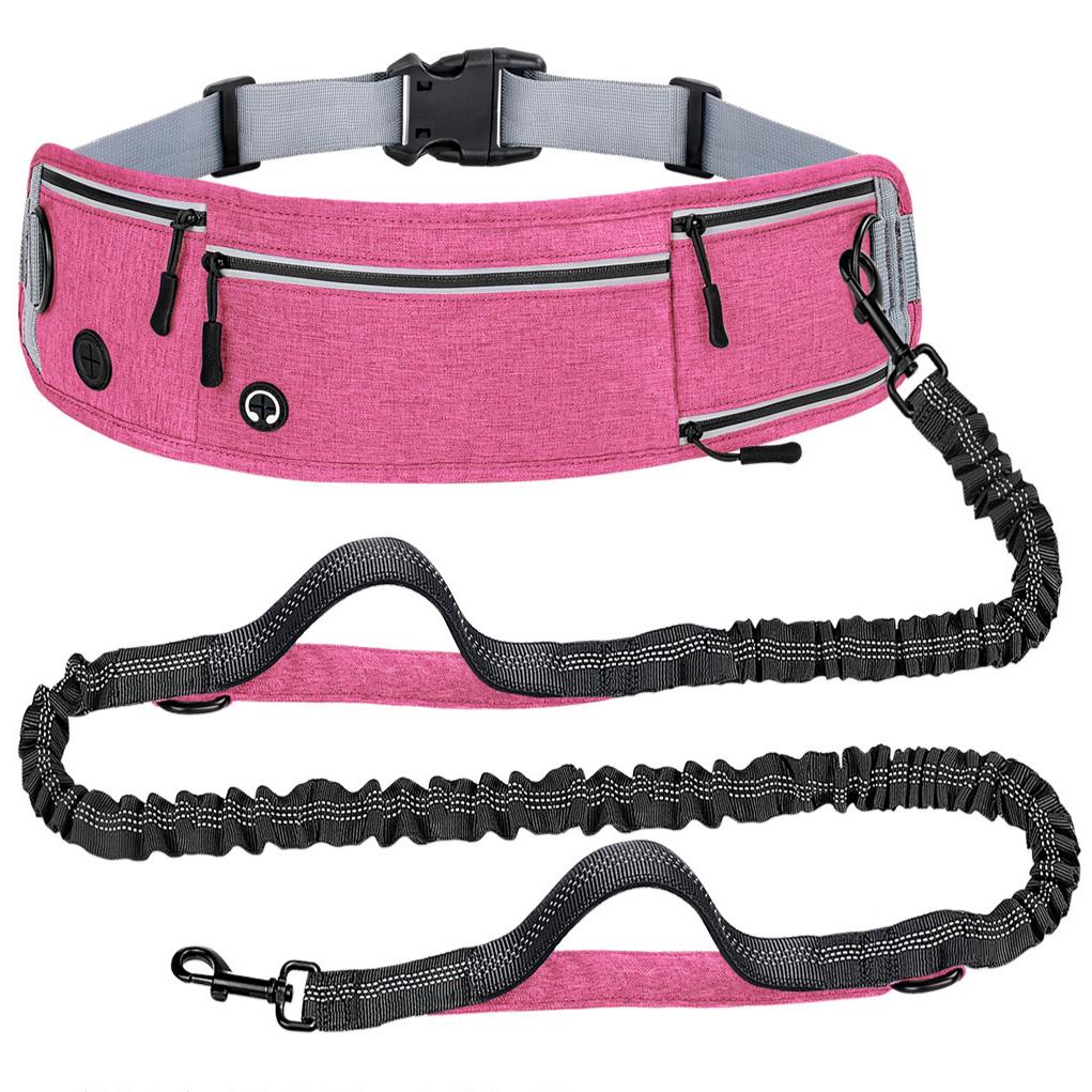 Reflective Retractable Anti-Pull Dog Leash with Waist Bag